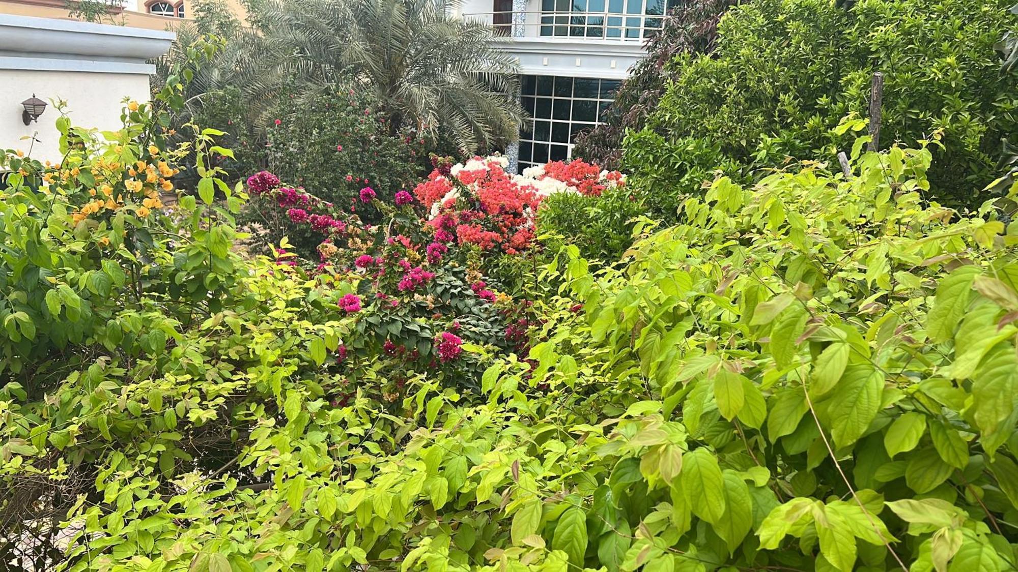 Alhosani Property Abu Dhabi Exterior photo